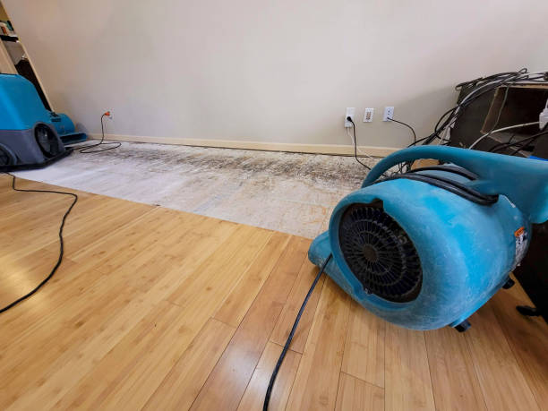 Reliable Basement Flood Cleanup contractor in Sidney, MI by Hirex Water Damage