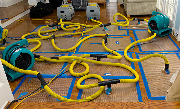 Professional Basement Flood Cleanup technician working in Sidney, MI